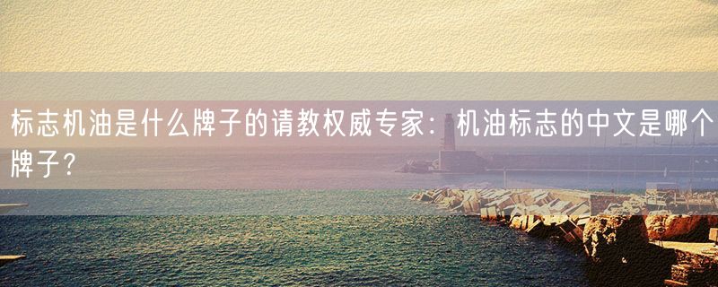 标志机油是什么牌子的请教权威专家：机油标志的中文是哪个牌子？