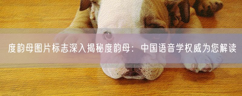 度韵母图片标志深入揭秘度韵母：中国语音学权威为您解读
